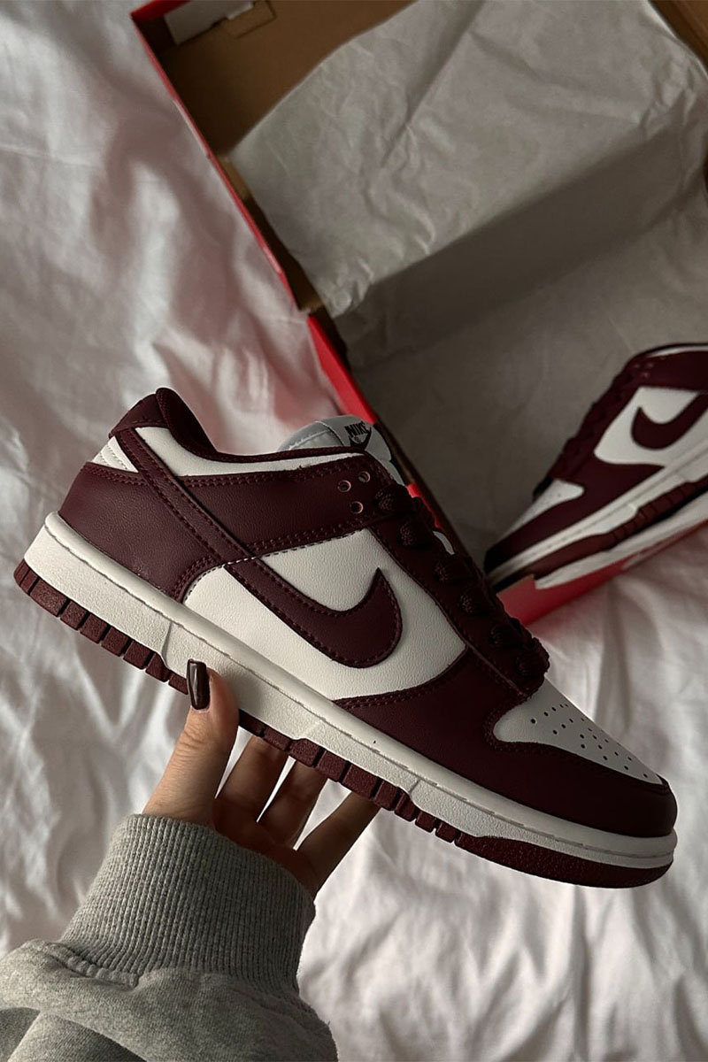 Nike Кроссовки Dunk SB Bordo 