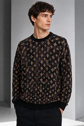 Мужская кофта коричневого цвета monogram all-over