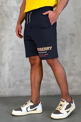 Мужские шорты Horseferry logo - Navy