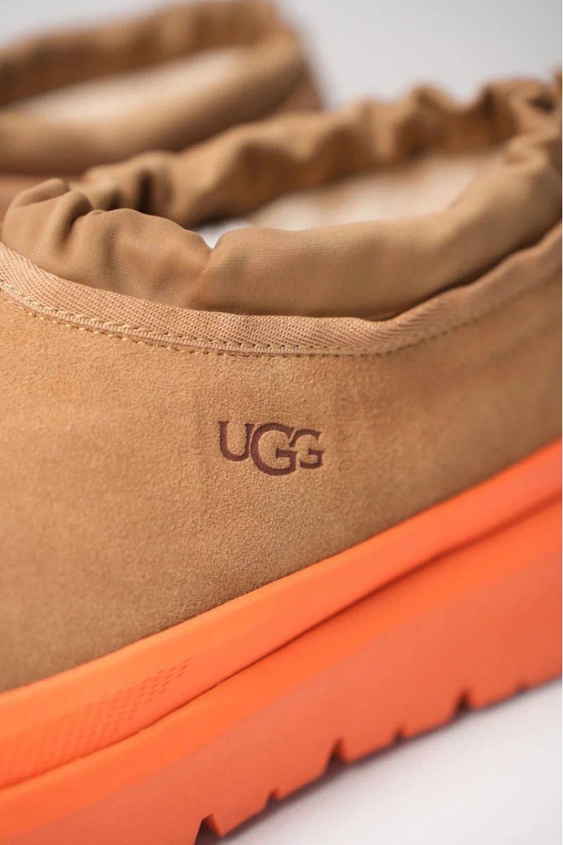 UGG Ботинки с мехом Tasman Weather Hybrid - Beige