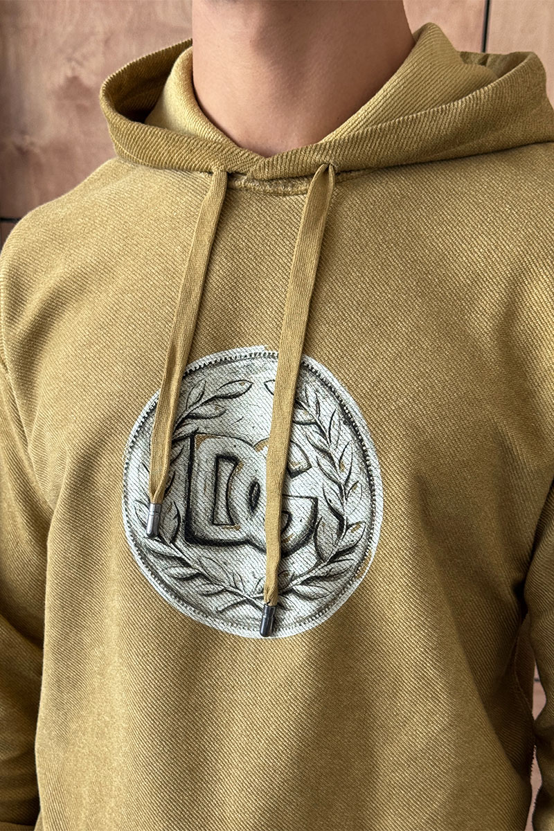 Dоlсе & Gаbbаnа Мужское худи logo-print - Brown 