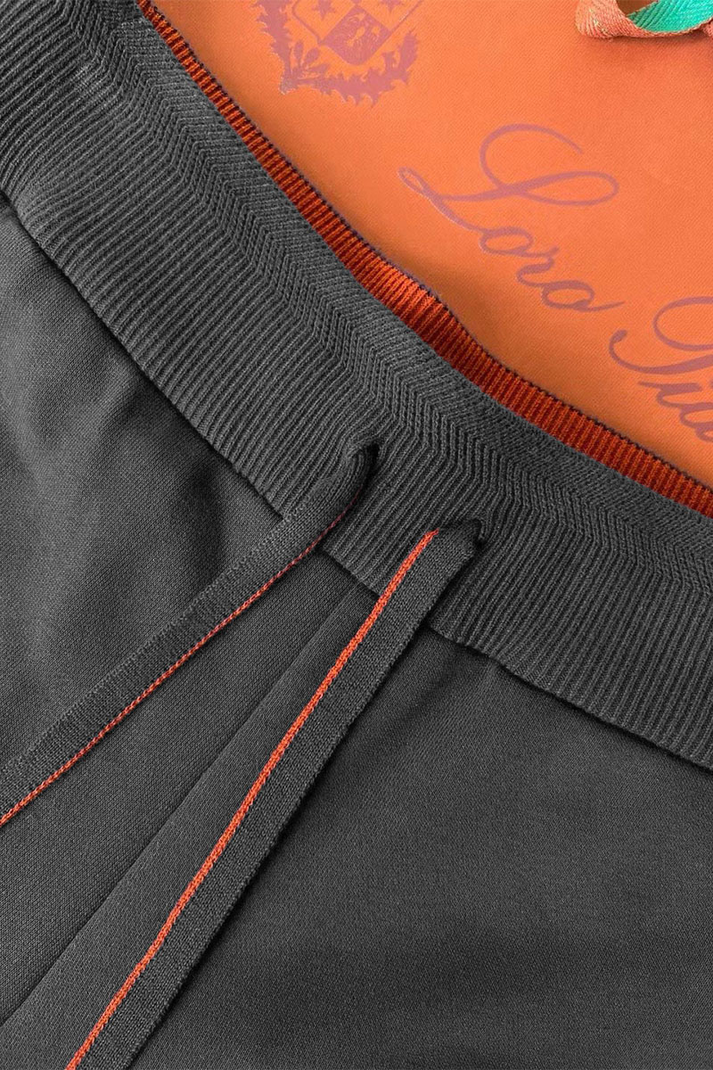 Loro Piana Спортивные штаны Premium signature logo - Grey