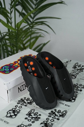 Слайды Mind 001 Mules