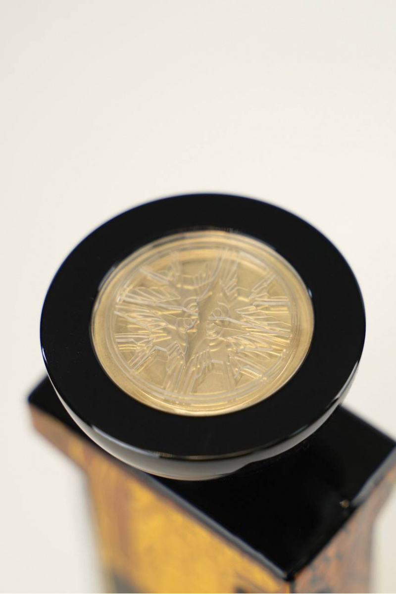 Designer Clothing Парфюмерная вода Lalique Illusion Captive 1898 (100 мл)