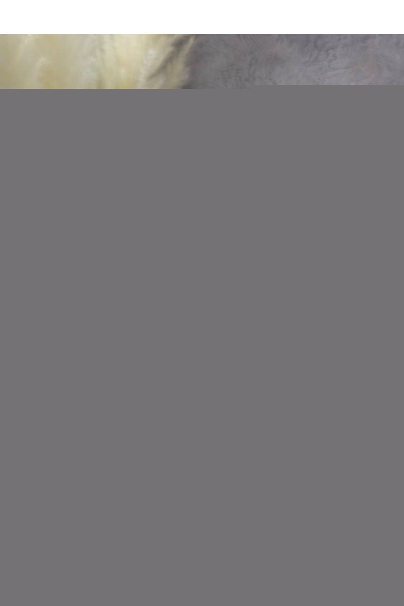 Lоuis Vuittоn Парфюмерная вода Attrape Reves (100 мл)