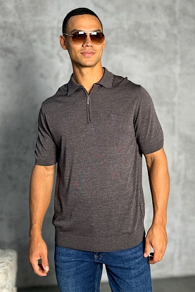 Мужское поло Eagle zip-neck - Brown 