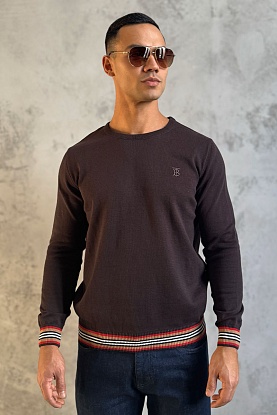 Мужской джемпер TB logo embroidered - Brown