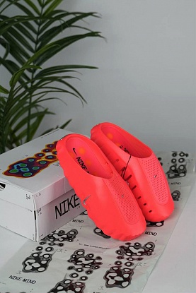 Слайды Mind 001 Mules