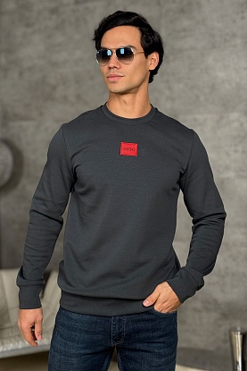 Мужской свитшот Diragol - Grey