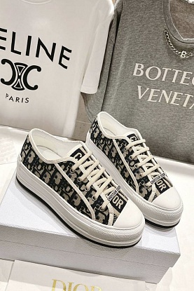Женские кроссовки Walk'n'Dior Oblique motif