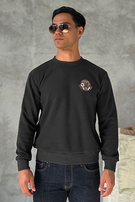 Мужской свитшот logo-patch - Grey