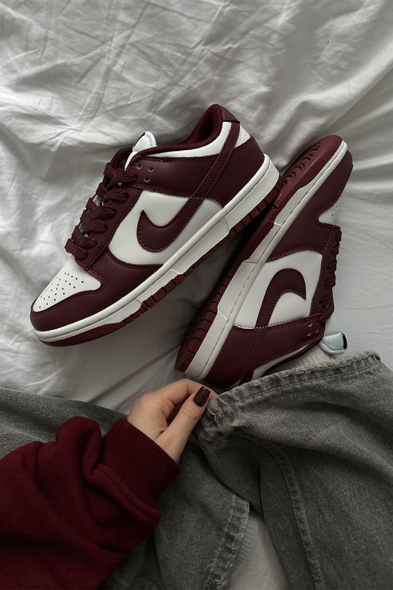 Nike Кроссовки Dunk SB Bordo 