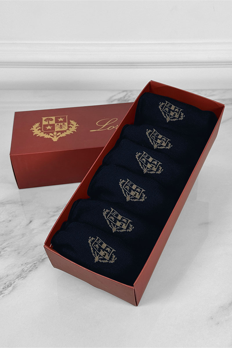 Loro Piana Комплект тёмно-синих носков brown logo
