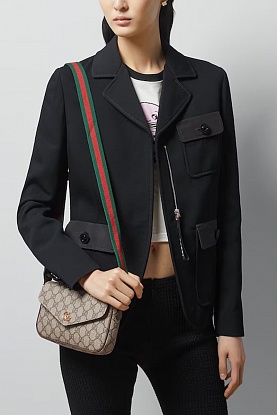 Сумка GG Ophidia pochette premium 22x13x4 см