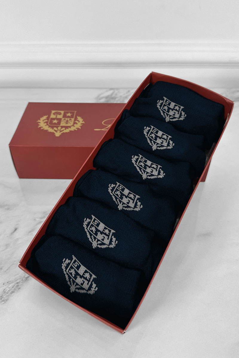 Loro Piana Комплект тёмно-синих носков grey logo