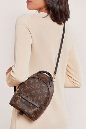 Женский кожаный рюкзак Palm Spring Mini Monogram 20x17 см